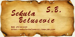 Sekula Belušević vizit kartica
